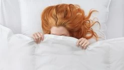 Dekbed Capella 15% Dons 4-seizoenen -Slaapkamerserie Winkel Dekbed Capella 15 dons 4 seizoenen 2