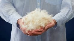 Dekbed Silvana Royale Extra Warm 100% Dons Winter -Slaapkamerserie Winkel Dekbed Gold 90 dons alle seizoenen 9