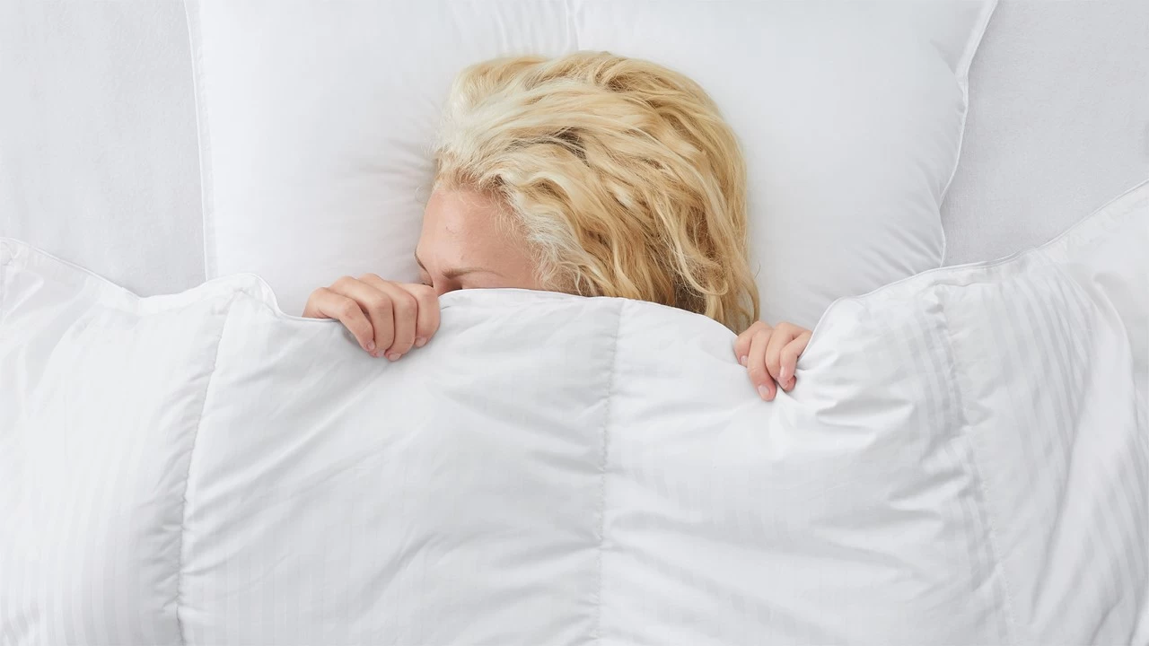 Dekbed Liv Synthetisch 4-seizoenen 3 Dekbed Liv Synthetisch 4-seizoenen - Afbeelding 3