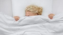 Dekbed Lotus Synthetisch 4-seizoenen -Slaapkamerserie Winkel Dekbed Lotus synthetisch 4 seizoenen 2