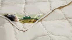 Dekbed Multikeus 200 Wol Zomer -Slaapkamerserie Winkel Dekbed Multikeus 200 wol zomer 3