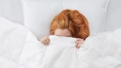 Dekbed Superieur 90% Dons Zomer -Slaapkamerserie Winkel Dekbed Superieur 90 dons zomer 2