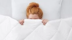 Dekbed Superieur Synthetisch Voor-/najaar -Slaapkamerserie Winkel Dekbed Superieur synthetisch voor najaar 2