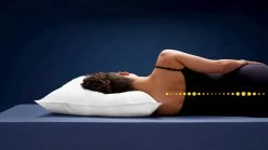 Hoofdkussen B Bright Bamboe 9 Hoofdkussen B Bright Bamboe -Slaapkamerserie Winkel Hoofdkussen Bamboe 2