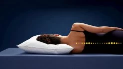 Hoofdkussen Ducky 1400 Gram -Slaapkamerserie Winkel Hoofdkussen Ducky 1400 gram 2