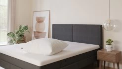 Hoofdkussen Emma Essential -Slaapkamerserie Winkel Hoofdkussen Essential 3