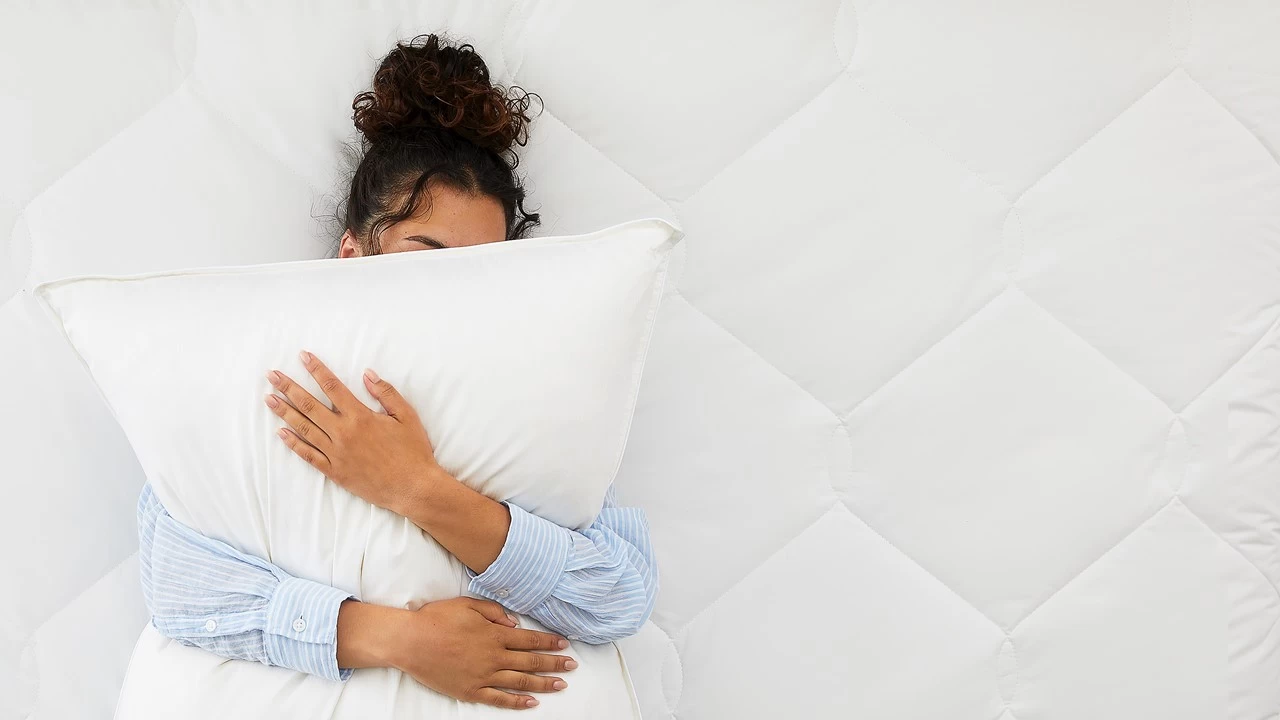 Hoofdkussen Frisk 2 Hoofdkussen Frisk - Afbeelding 2