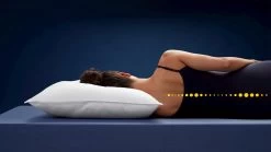 Hoofdkussen Frisk 8 Hoofdkussen Frisk -Slaapkamerserie Winkel Hoofdkussen Frisk 2