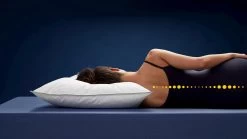 Hoofdkussen Half Dons -Slaapkamerserie Winkel Hoofdkussen Half dons 2