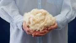 Hoofdkussen B Bright Kapok 6 Hoofdkussen B Bright Kapok -Slaapkamerserie Winkel Hoofdkussen Kapok