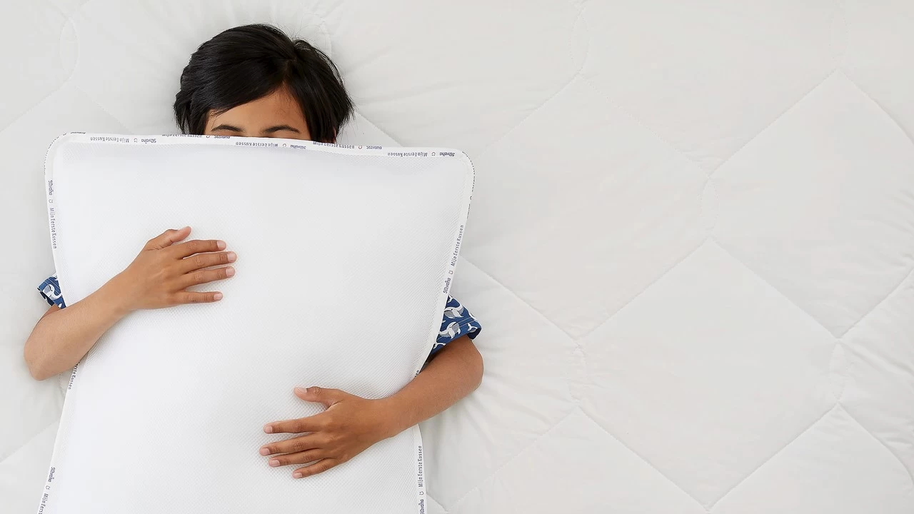 Hoofdkussen Mijn Eerste Kussen 250 Gram 2 Hoofdkussen Mijn Eerste Kussen 250 Gram - Afbeelding 2