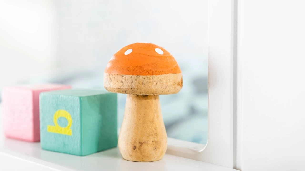 Sofabed Puck Met Dakframe En Half Dak 11 Sofabed Puck Met Dakframe En Half Dak - Afbeelding 11