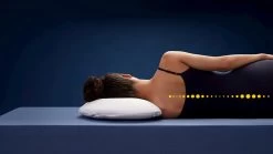 TEMPUR® Hoofdkussen Sonata Small -Slaapkamerserie Winkel TEMPUR hoofdkussen Sonata small 2